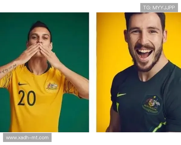 瑞典波兰附加赛决赛门票已售罄